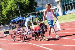 kinderbuergerfest13_039